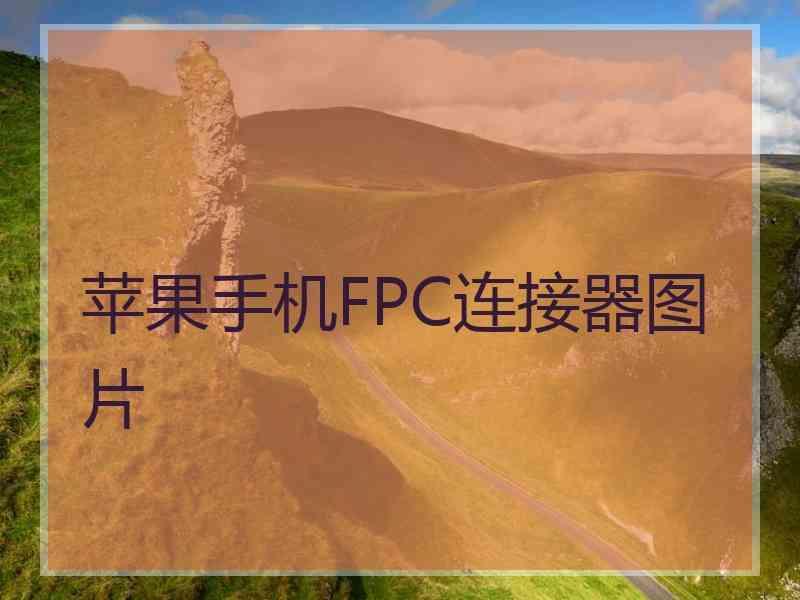 苹果手机FPC连接器图片