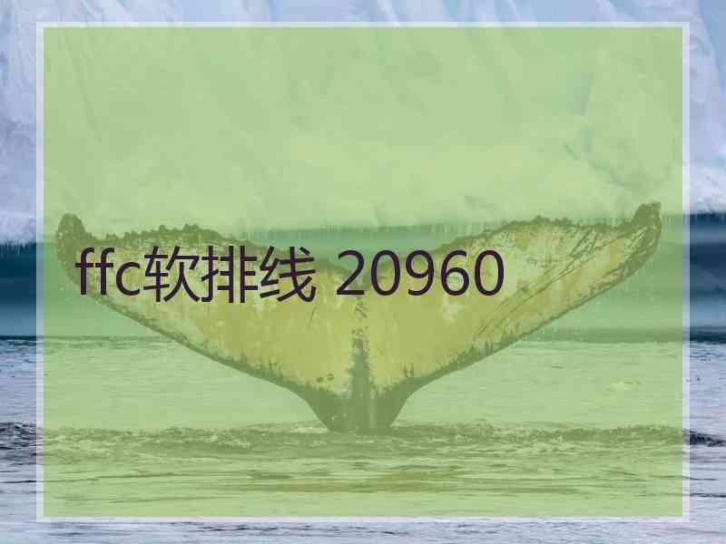 ffc软排线 20960