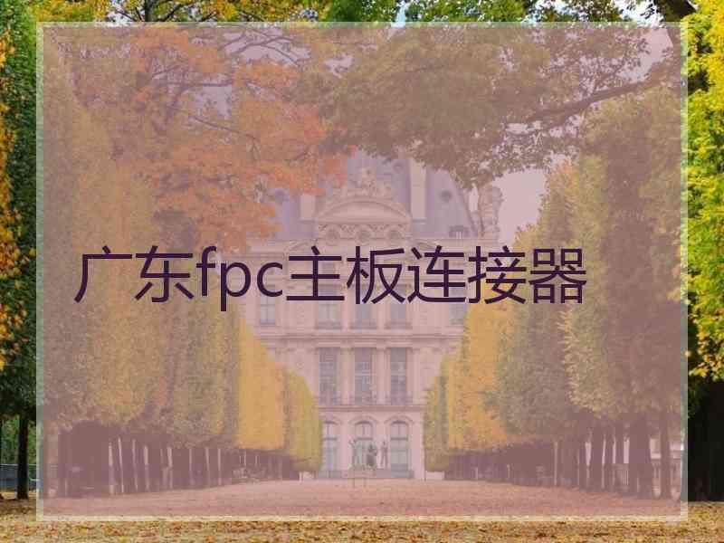 广东fpc主板连接器