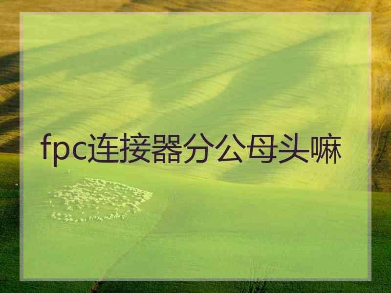 fpc连接器分公母头嘛