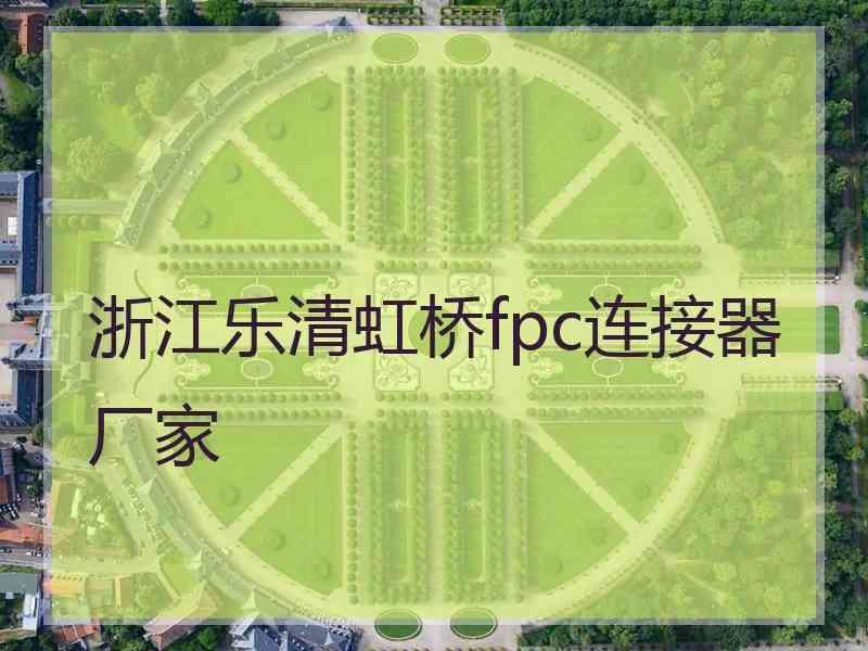 浙江乐清虹桥fpc连接器厂家