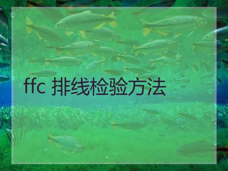 ffc 排线检验方法