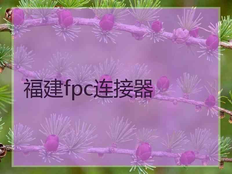 福建fpc连接器