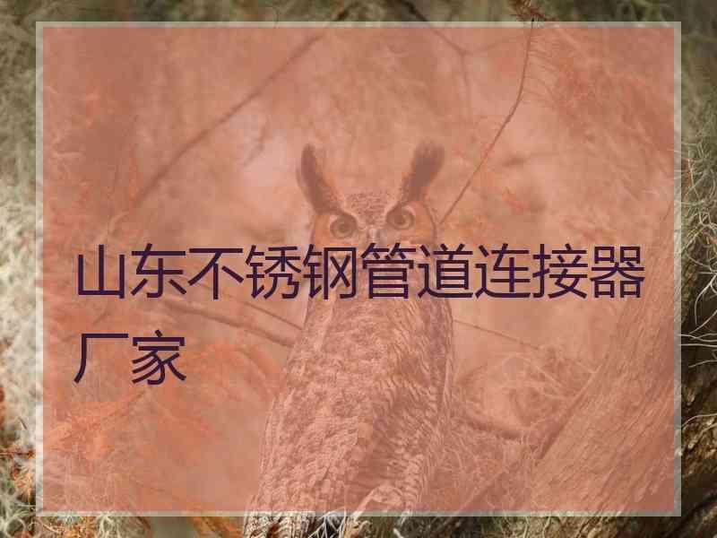山东不锈钢管道连接器厂家
