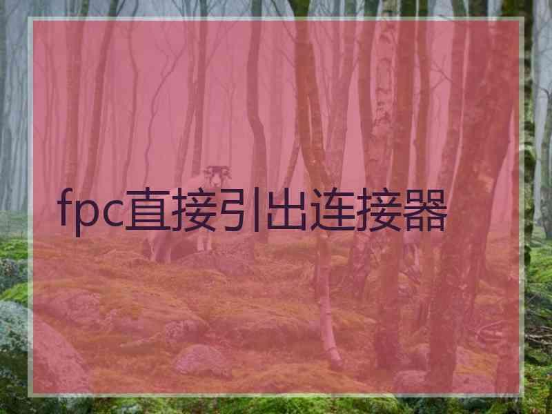 fpc直接引出连接器