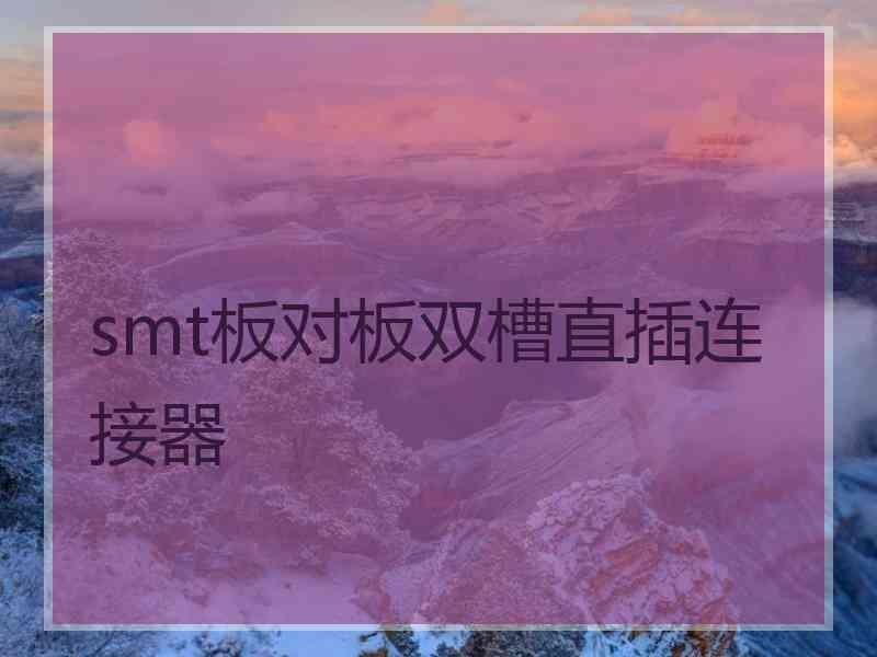 smt板对板双槽直插连接器