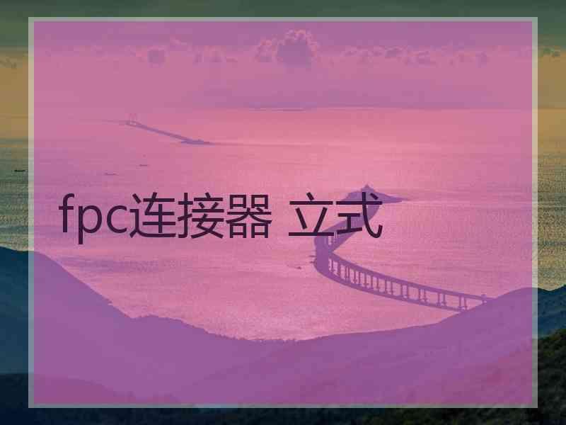 fpc连接器 立式