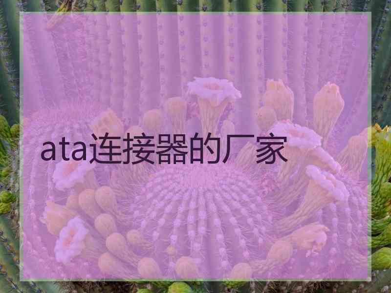 ata连接器的厂家