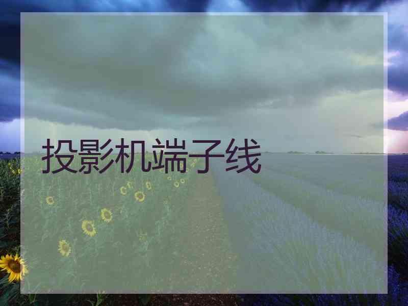 投影机端子线
