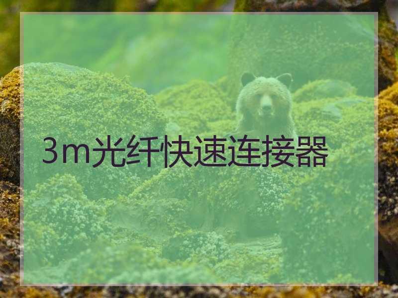 3m光纤快速连接器