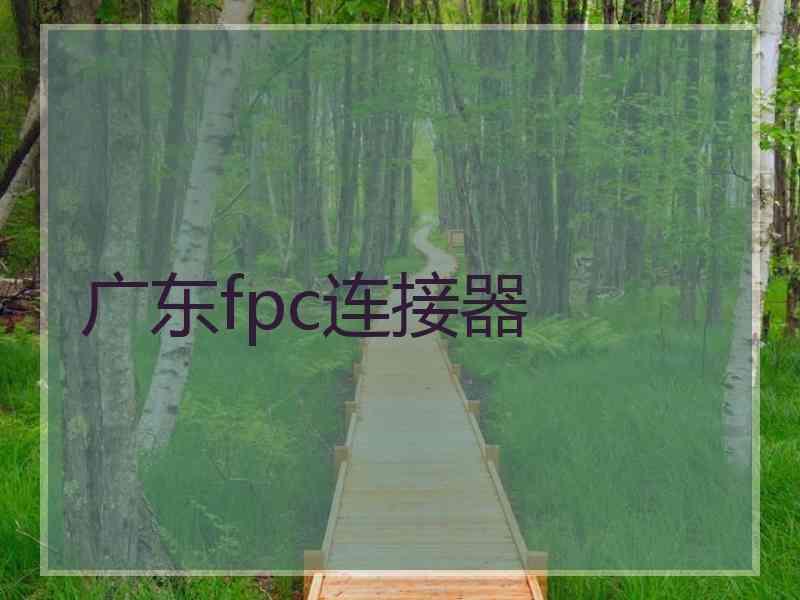 广东fpc连接器