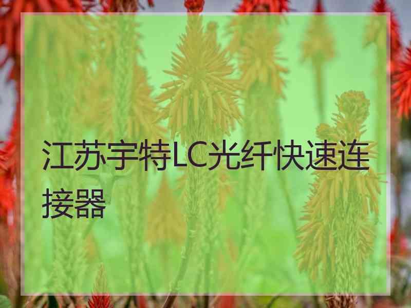 江苏宇特LC光纤快速连接器