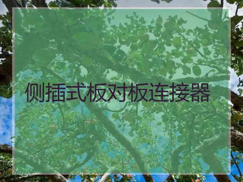 侧插式板对板连接器