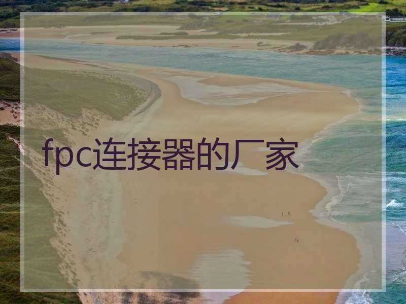 fpc连接器的厂家