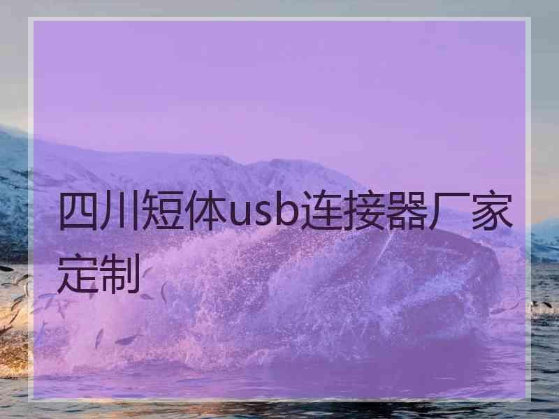 四川短体usb连接器厂家定制