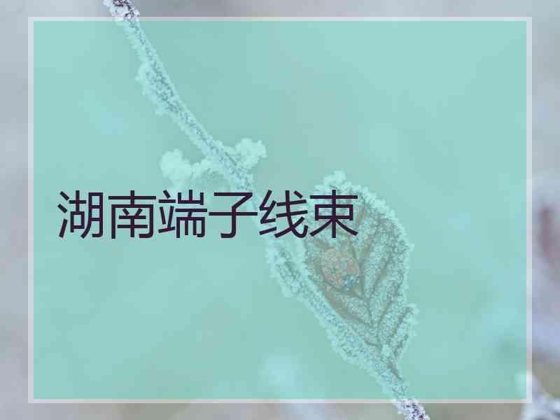 湖南端子线束